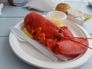 mcloons-lobster