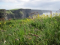 cliffs-of-moher-49-j.jpg