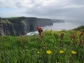 cliffs-of-moher-57-lin.jpg