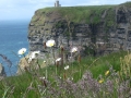 cliffs-of-moher-68-lin.jpg