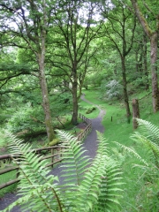 glendalough-52.jpg