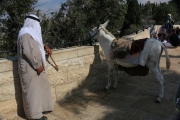 87Mount-Olives (21)