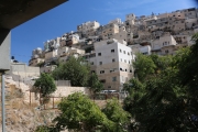 87Mount-Olives (9)