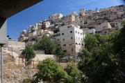 87Mount-Olives (9)