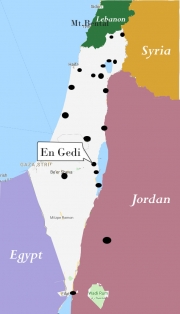 88Ein-Gedi (0)