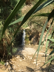 88Ein-Gedi (1)