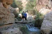 88Ein-Gedi (13)