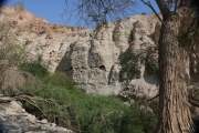 88Ein-Gedi (17)