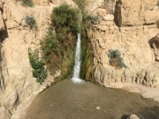 88Ein-Gedi (5)