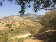 5Tel-Dan (5)