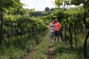 italy-brent-rachel-vineyard