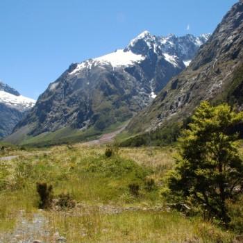 milford road view