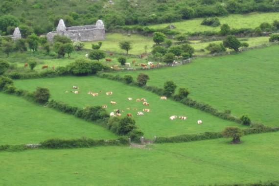 the-burren