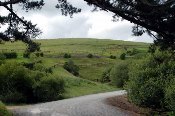 north island scene