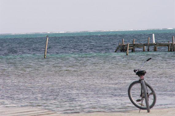 caye caulker bicycle photo